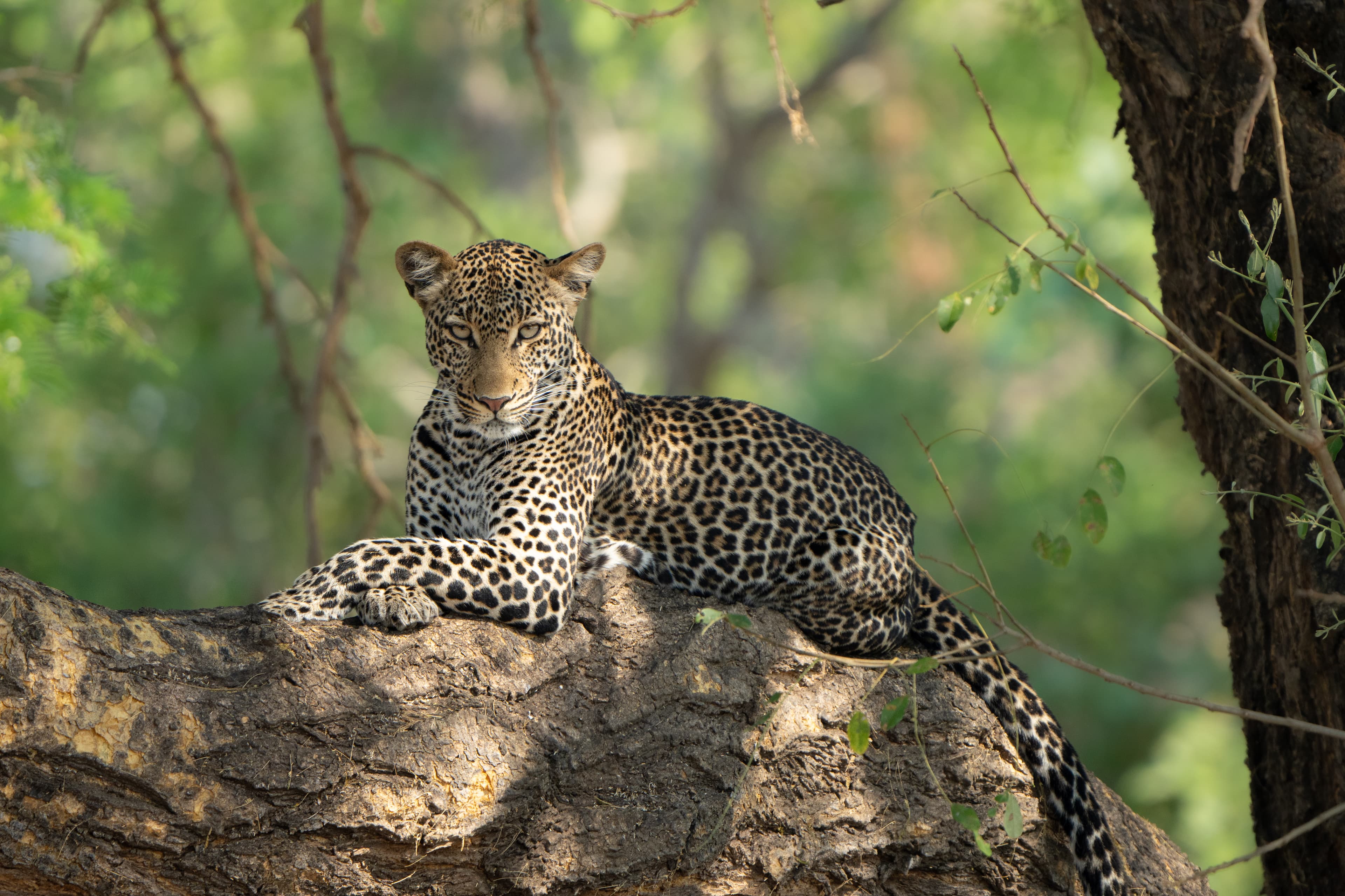 Im Süden von Tanzania